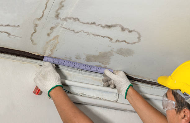 Reliable Basement Water Removal contractor in Balch Springs, TX by Water Damage Irwin